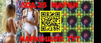 гидропоника Обь