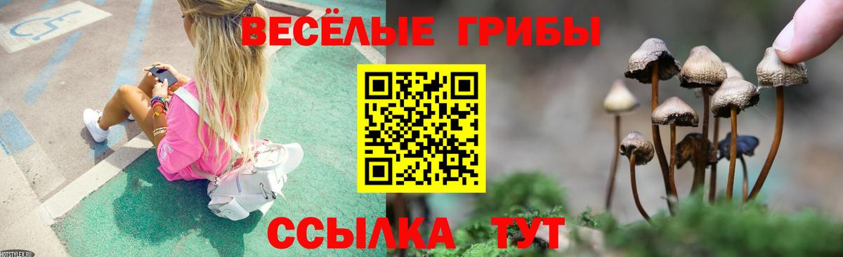 Чистополь  Псилоцибиновые грибы Magic Shrooms  Вход с VPN 